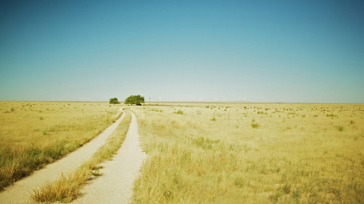 风景 小路 自然 郊外