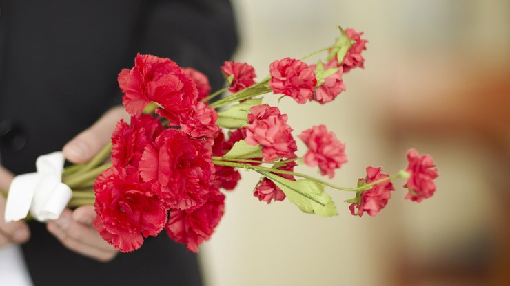 小清新 温馨一刻 花卉