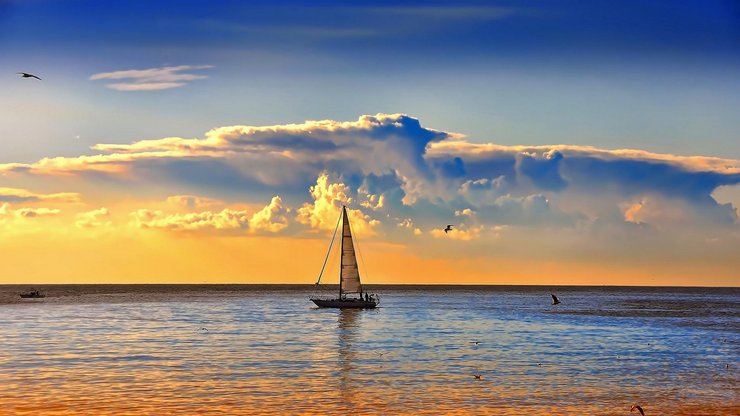 风景 海洋 帆船