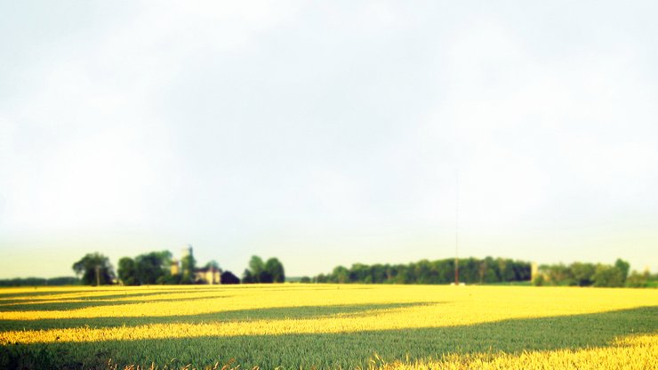 超宽 全景 风景 碧绿草原 mlgb