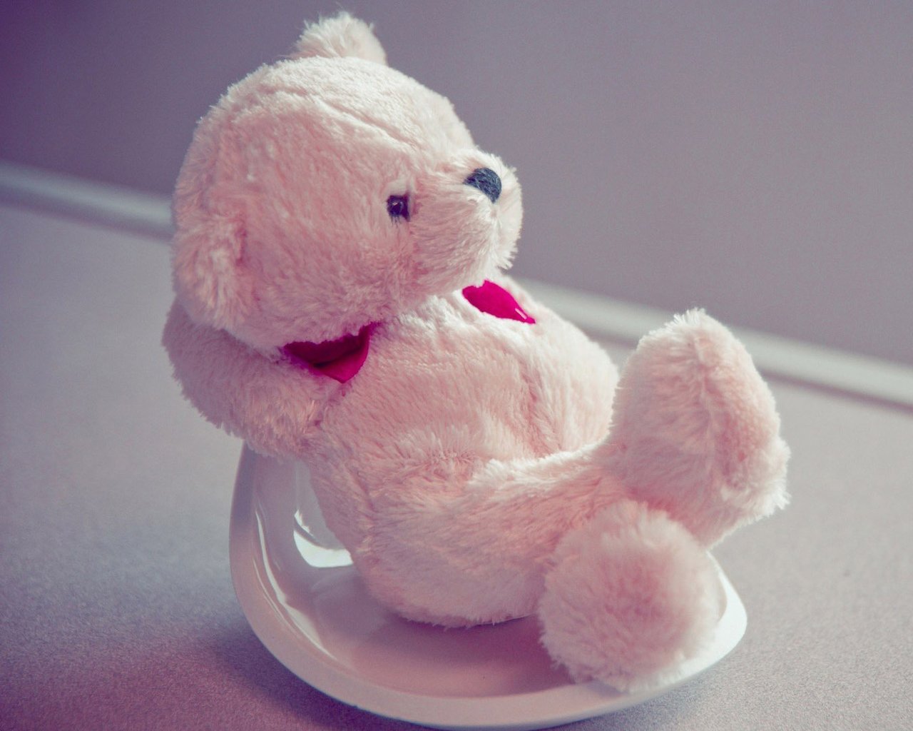 小清新 静物写真 玩偶  1月24日 