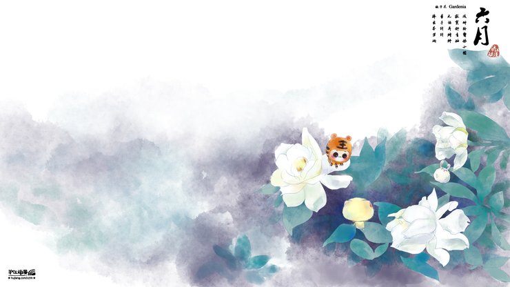 安卓手机动漫 CC猫 原创 节气 CC猫六月栀子花高清壁纸