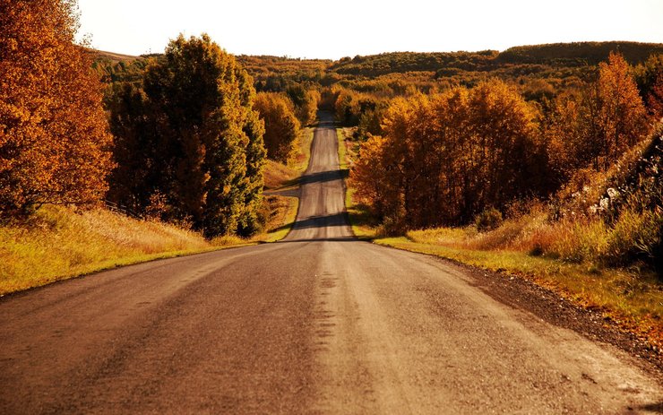 安卓手机风景 公路 秋天高清壁纸