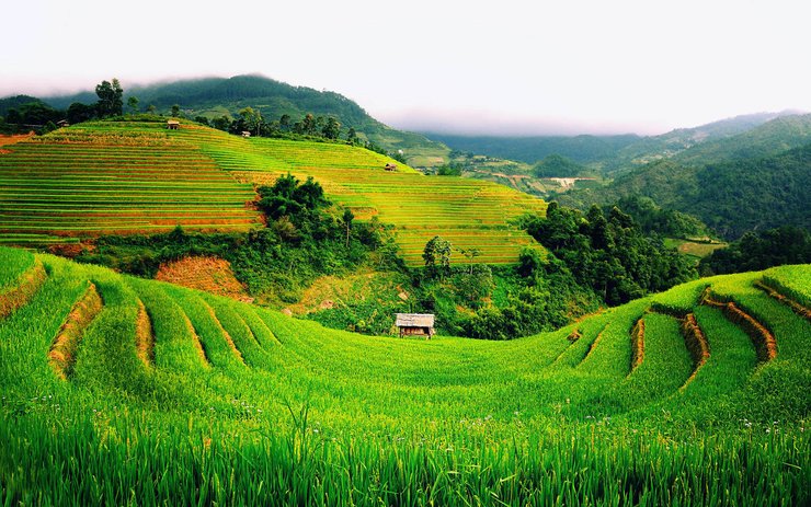安卓手机风景 旅游 越南高清壁纸