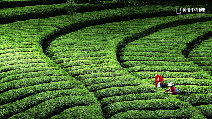 安卓手机风景 国家地理 摄影 风光 风景 自然风光高清壁纸