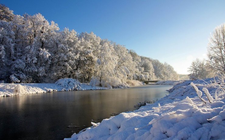 安卓手机风景 雪景 河流 树林高清壁纸