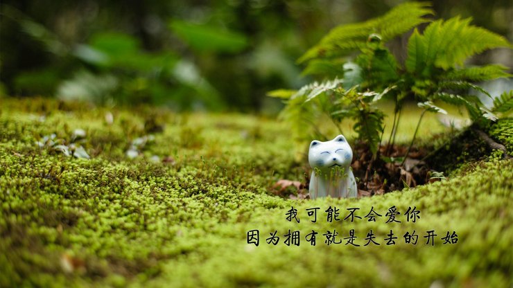 安卓手机爱情 文案高清壁纸