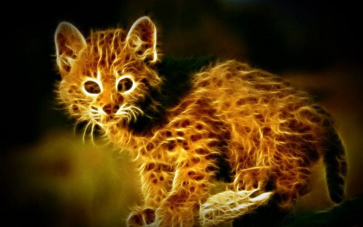 安卓手机光线 描绘 猫科 动物高清壁纸