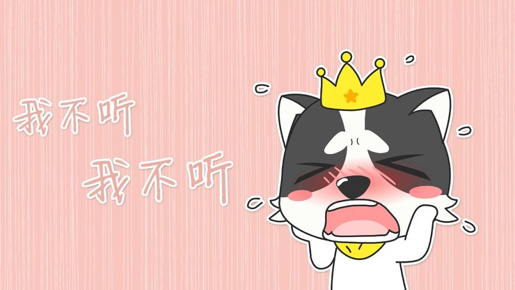 安卓手机动漫 狗 哈士奇 萌 贱高清壁纸