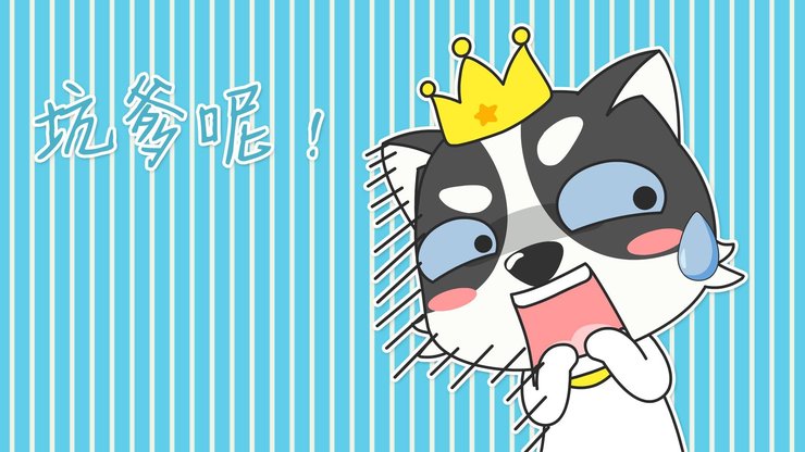 安卓手机动漫 狗 哈士奇 萌 贱高清壁纸
