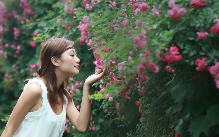 安卓手机美女 清纯可爱 萌妹子高清壁纸