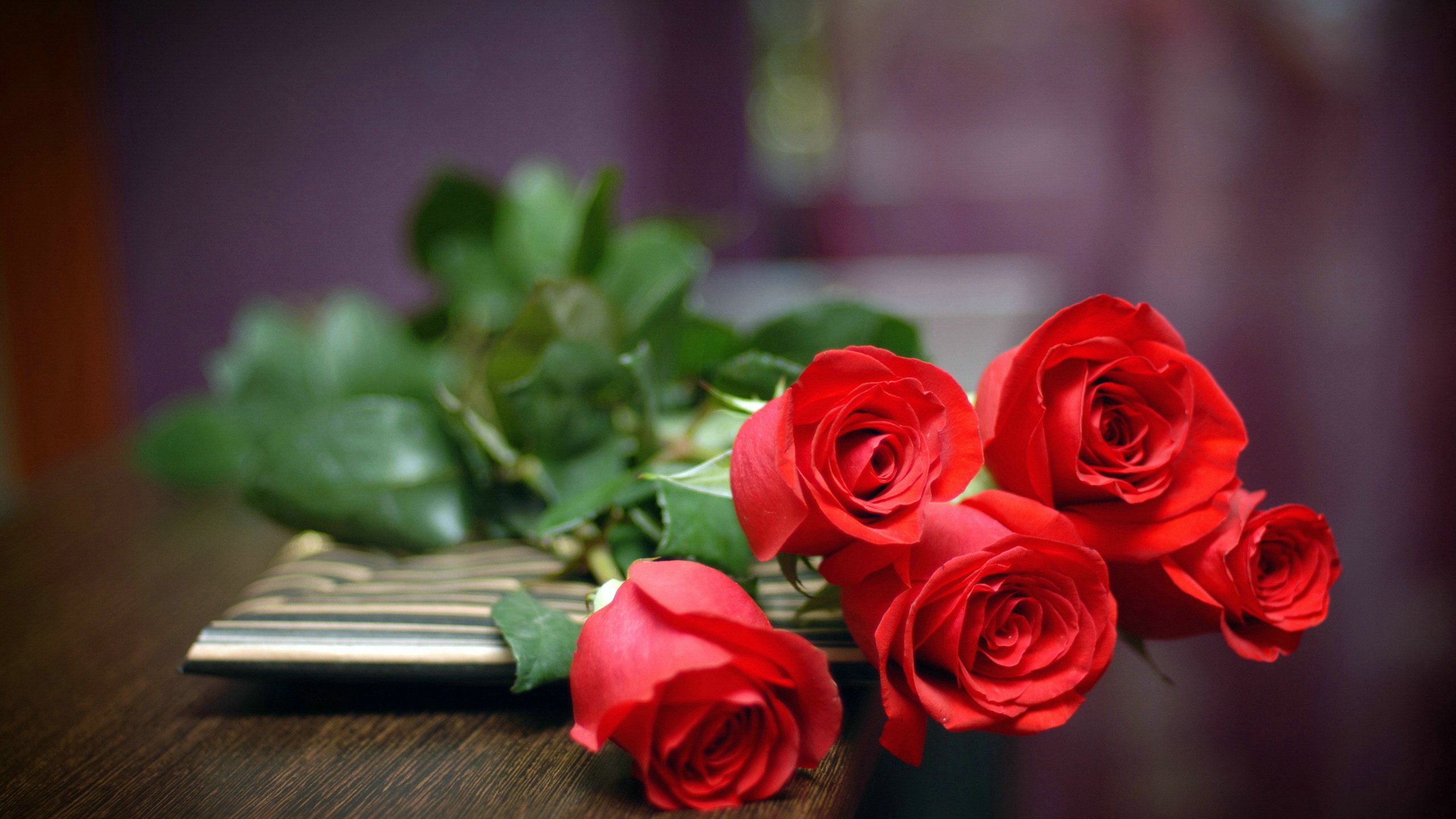 爱情美图唯美温馨玫瑰