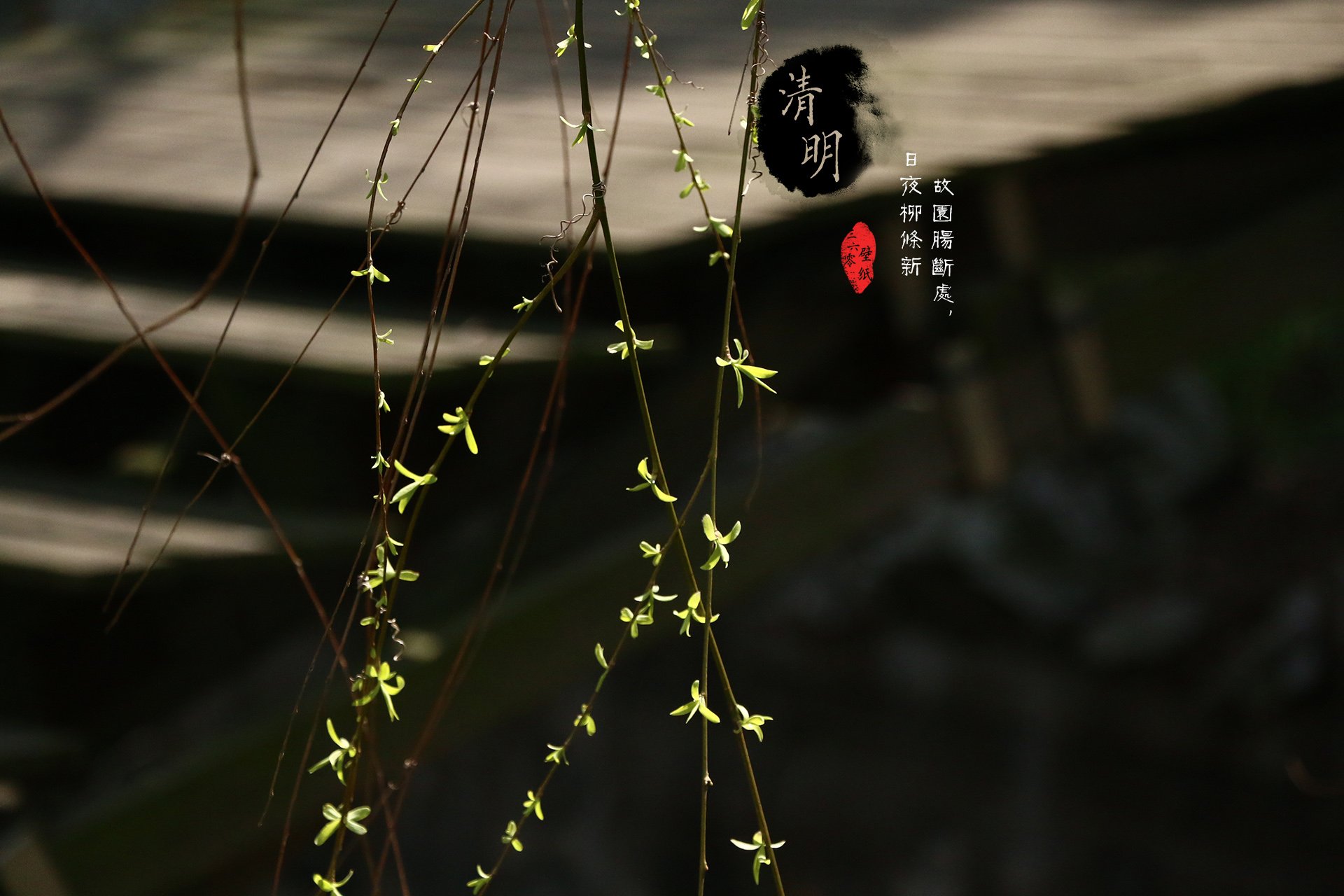 清明节,古风,古诗,诗句,意境,节气,24节气,二十四节气,@姑凉你又瘦了,节日美图