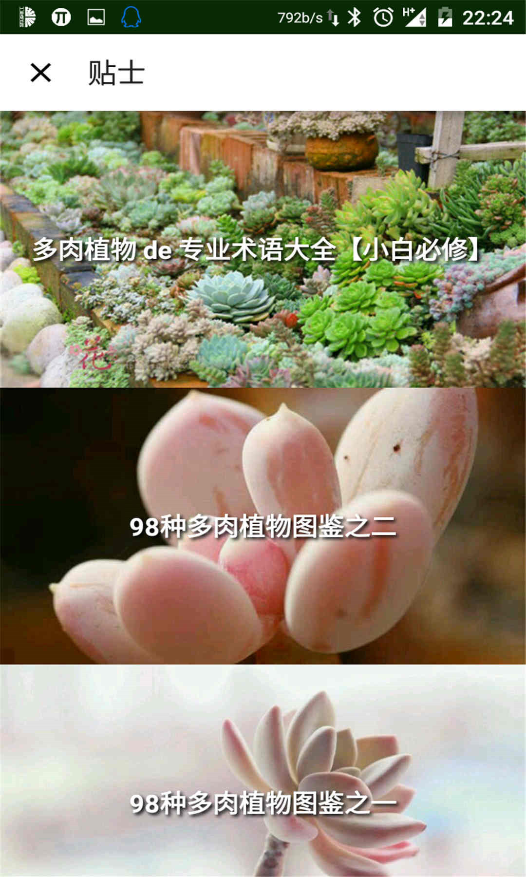 植物生活馆截图1