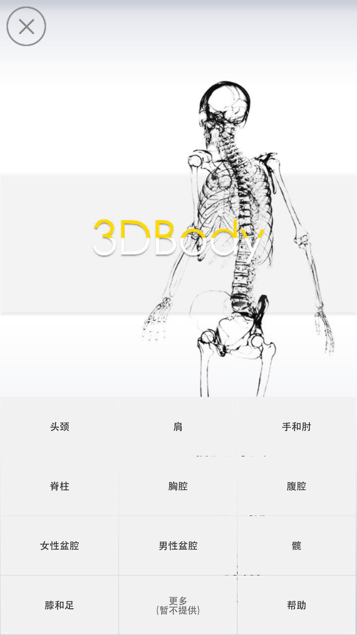 3DBody解剖截图1