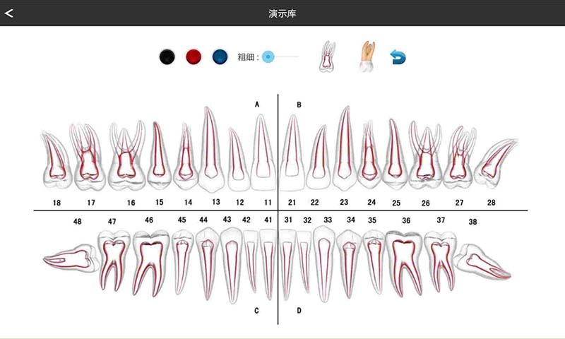 天齿月牙截图5