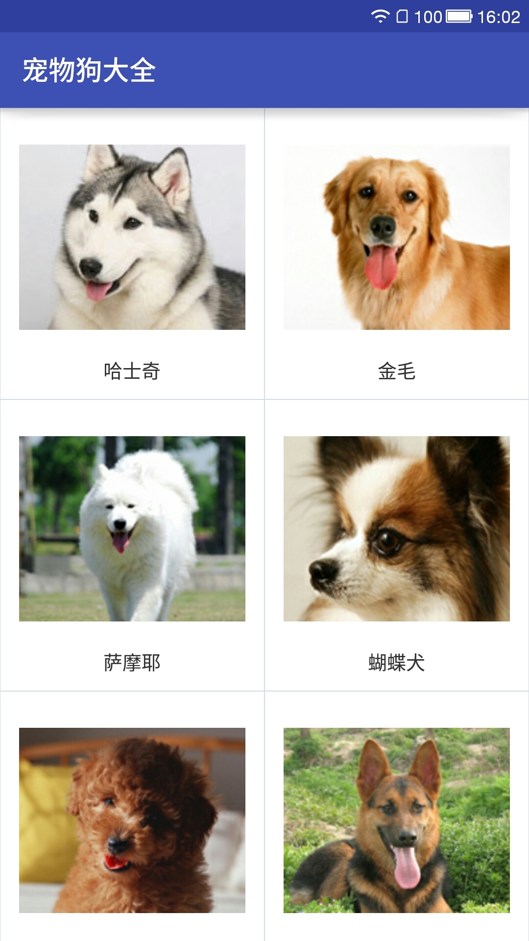 宠物狗大全