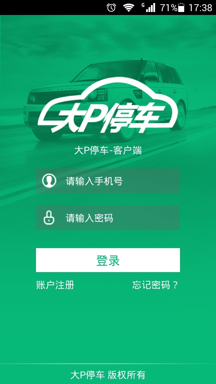 大P停车截图1