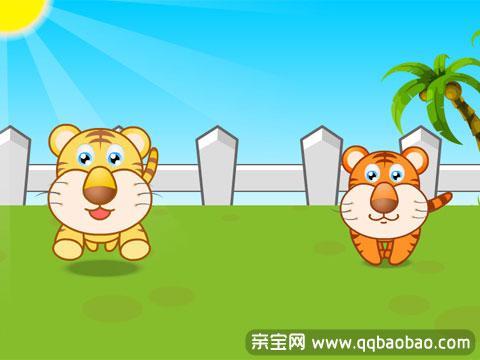 两只老虎