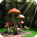 3D蘑菇-梦象动态壁纸