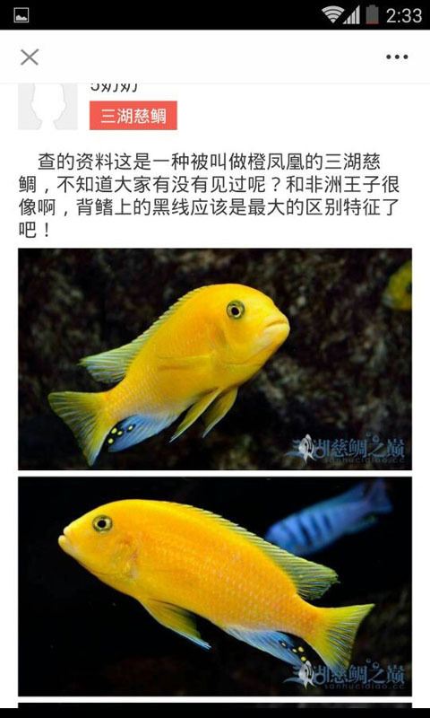 南美水族截图4