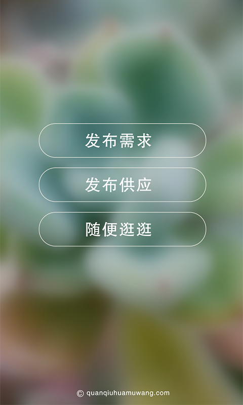 全球花木网截图2