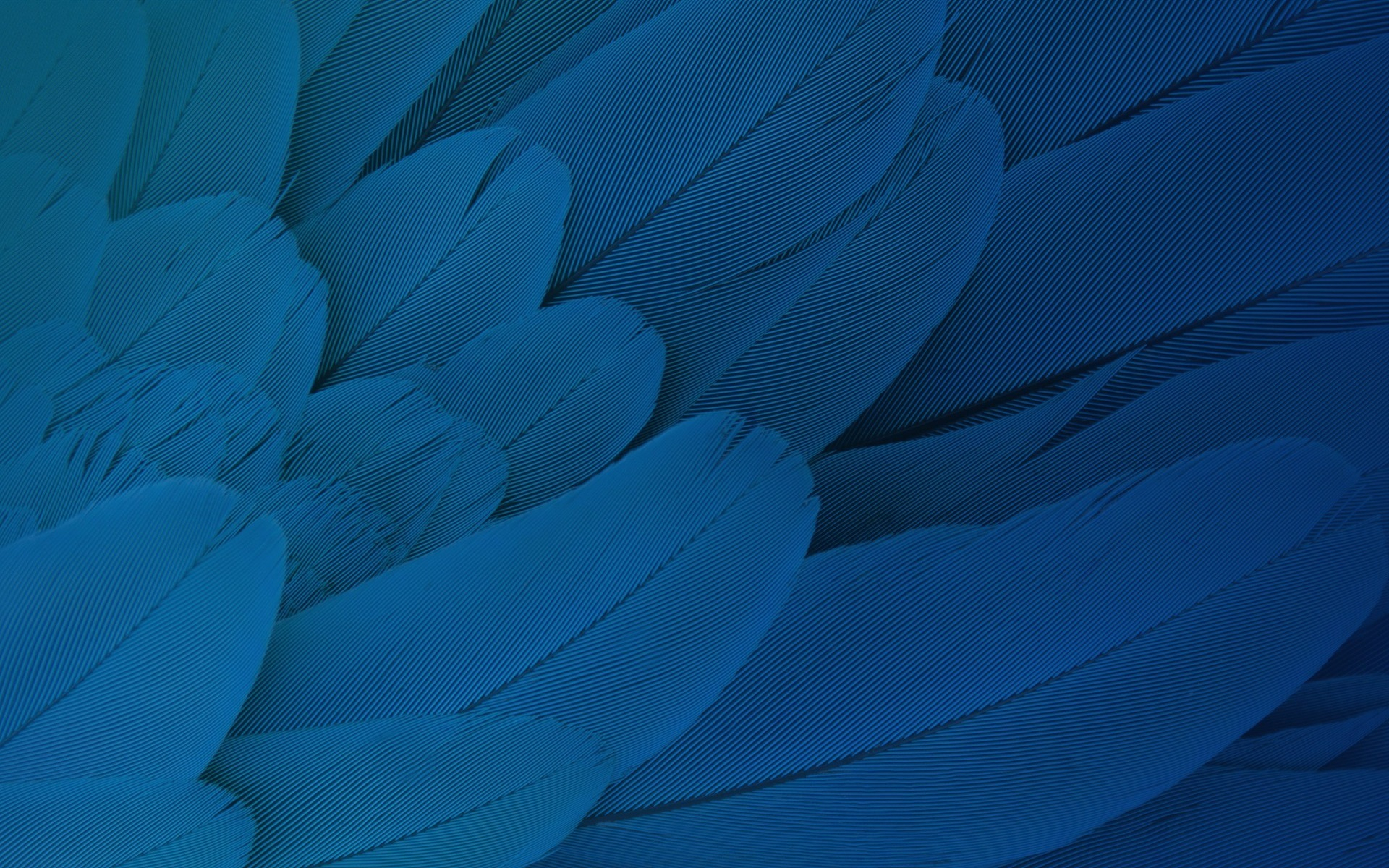 Windows安装 OmniParser 2 屏幕解析模型