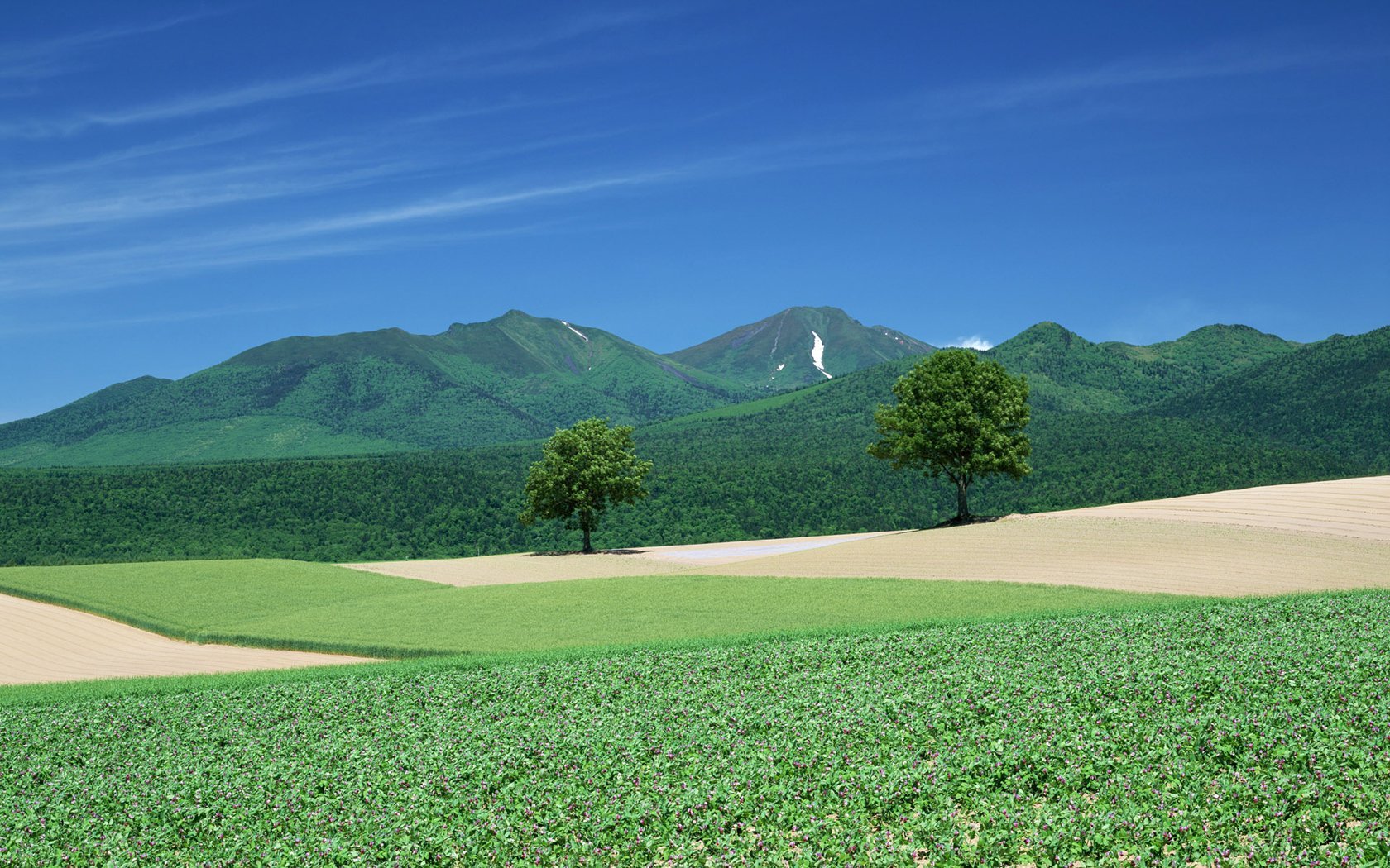 風景自然風光大自然唯美日本北海道日系旅遊勝地