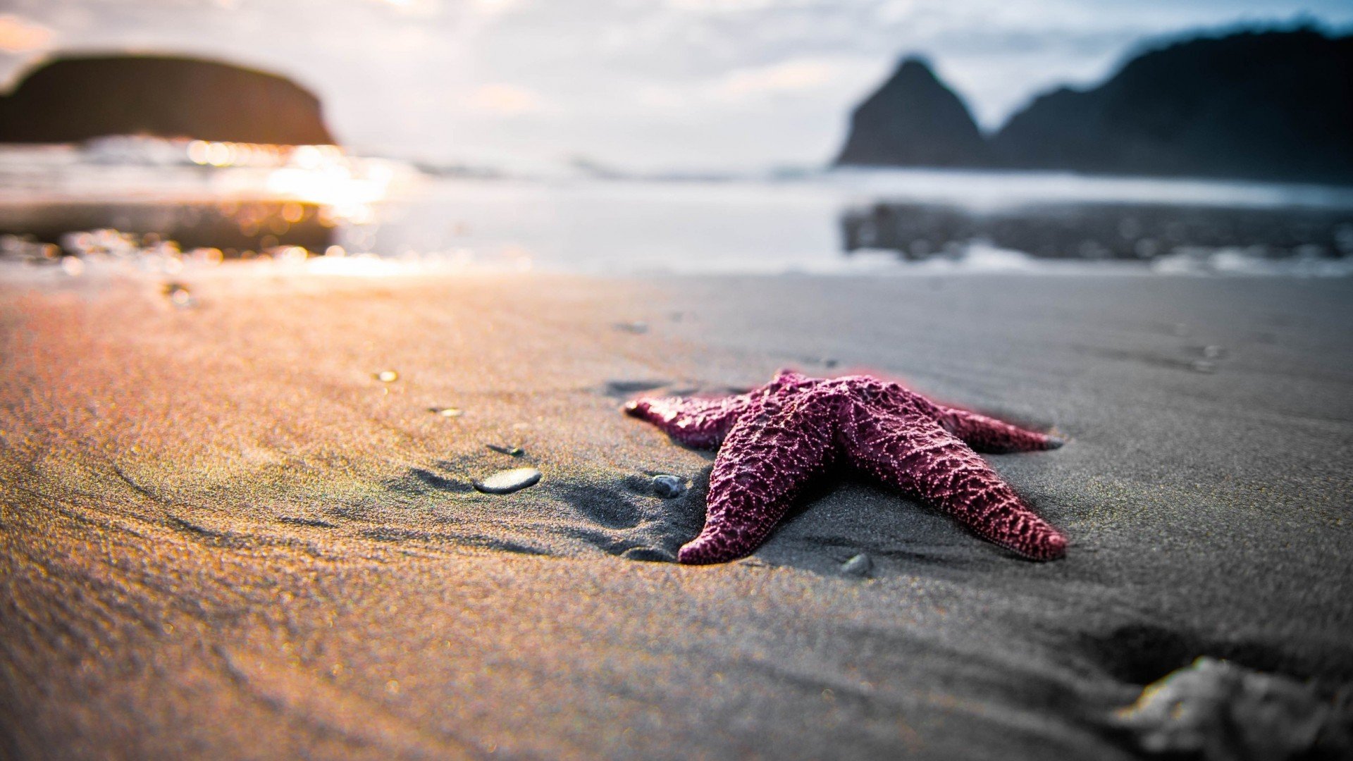 安卓手机高清壁纸