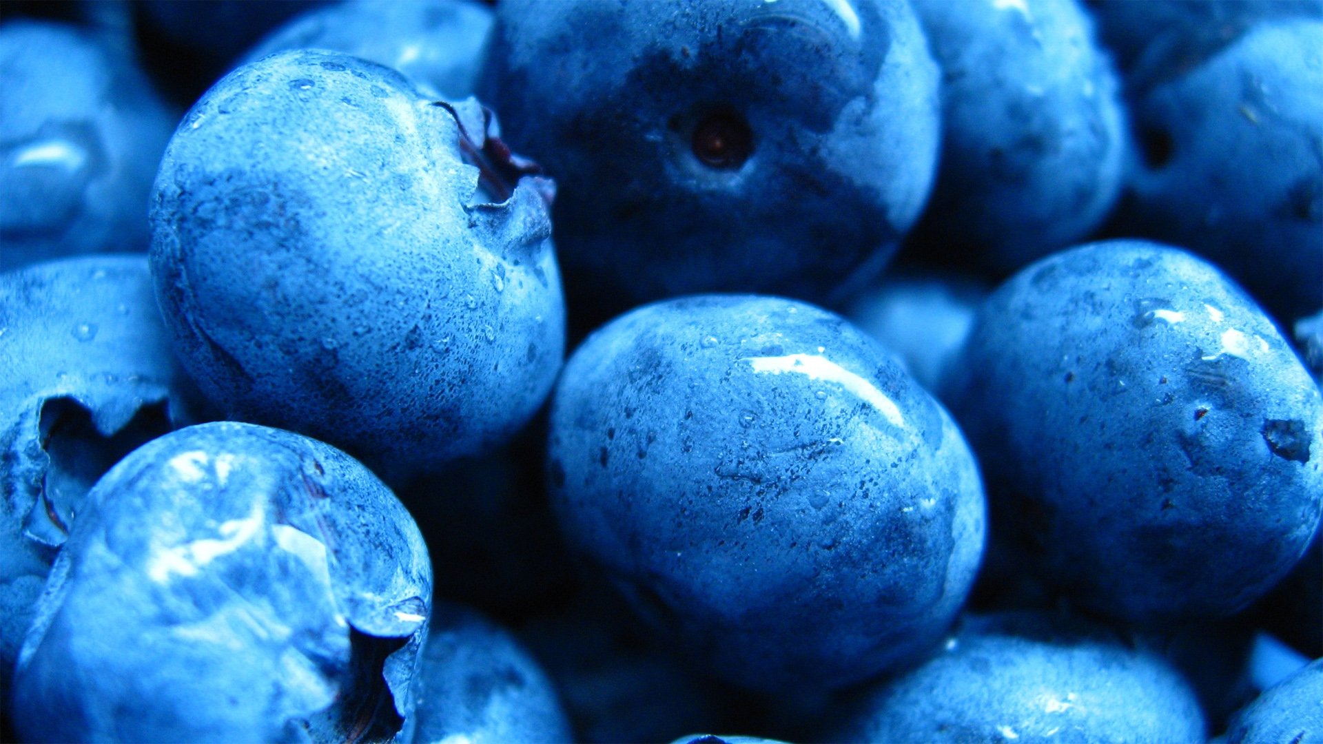 小清新动感水果蓝莓 相关壁纸
