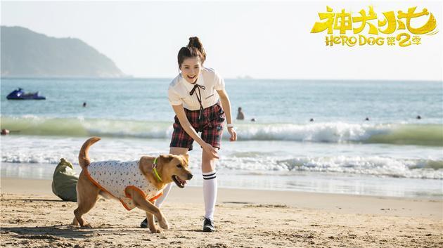 神犬小七2 正版