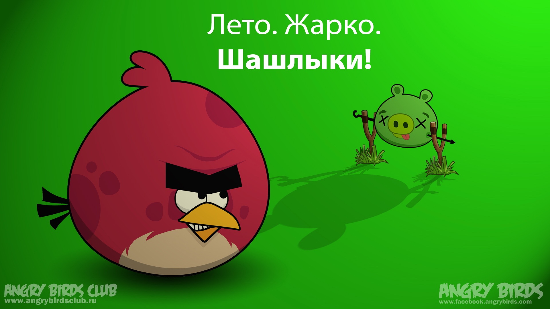 android安卓愤怒的小鸟 angry birds 可爱 卡通 游戏 宽屏高清手机